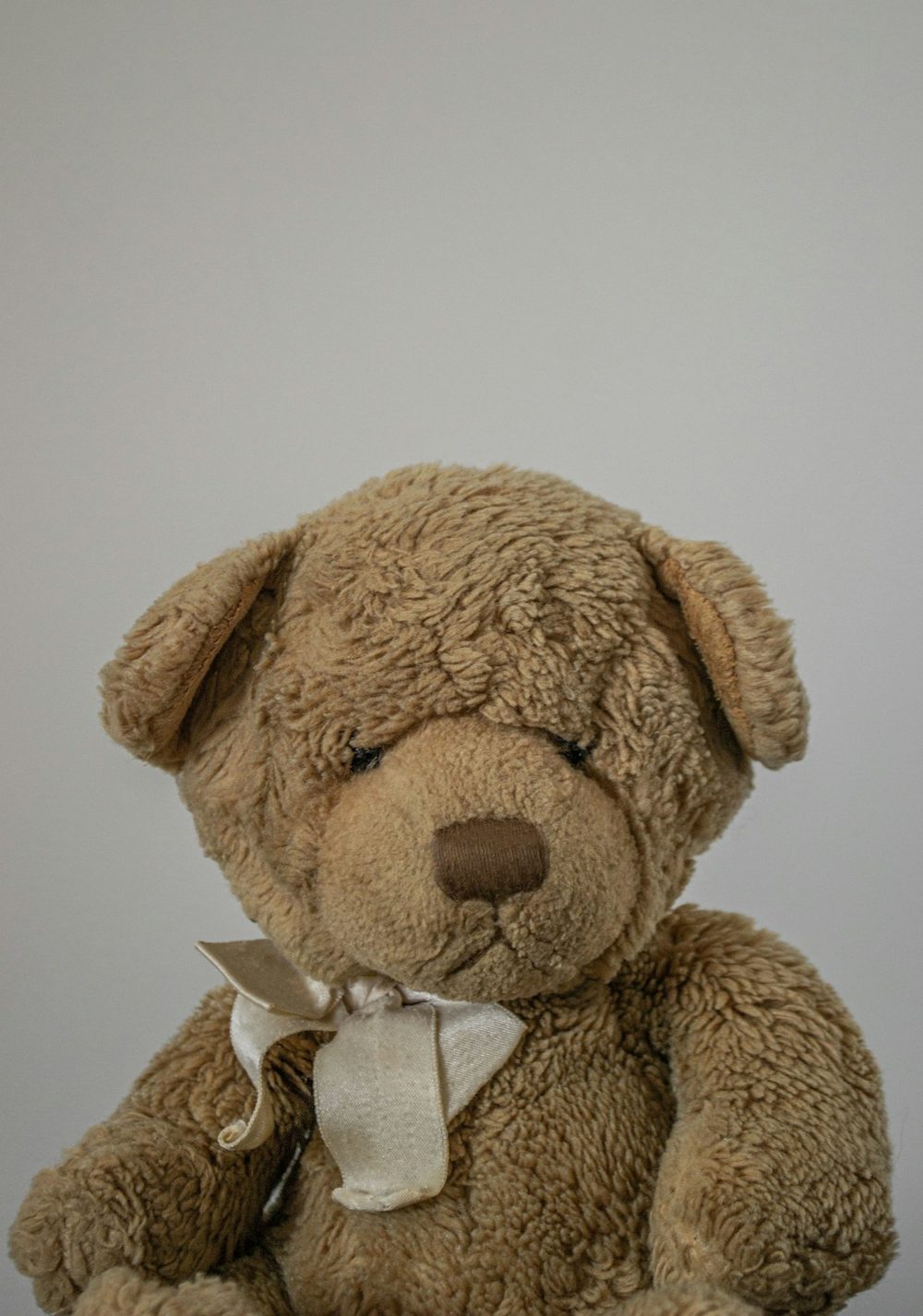 Teddy bear