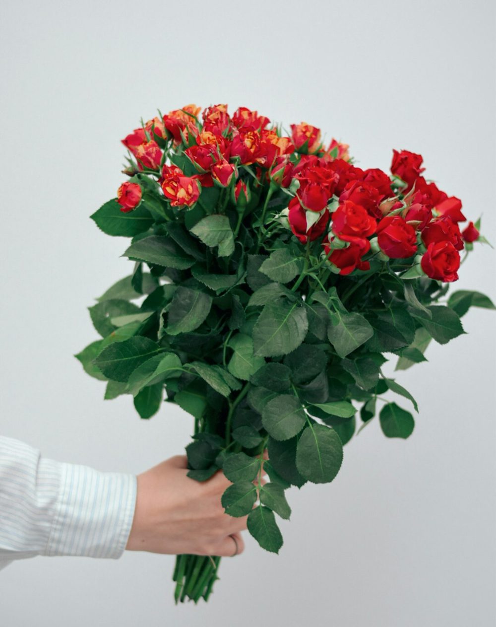 Crimson Velvet Bouquet